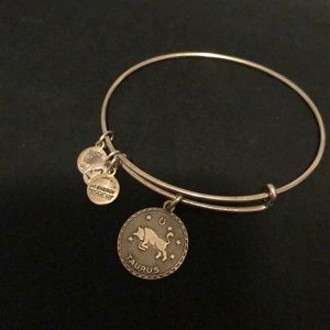 Taurus Alex and Ani Bracelet